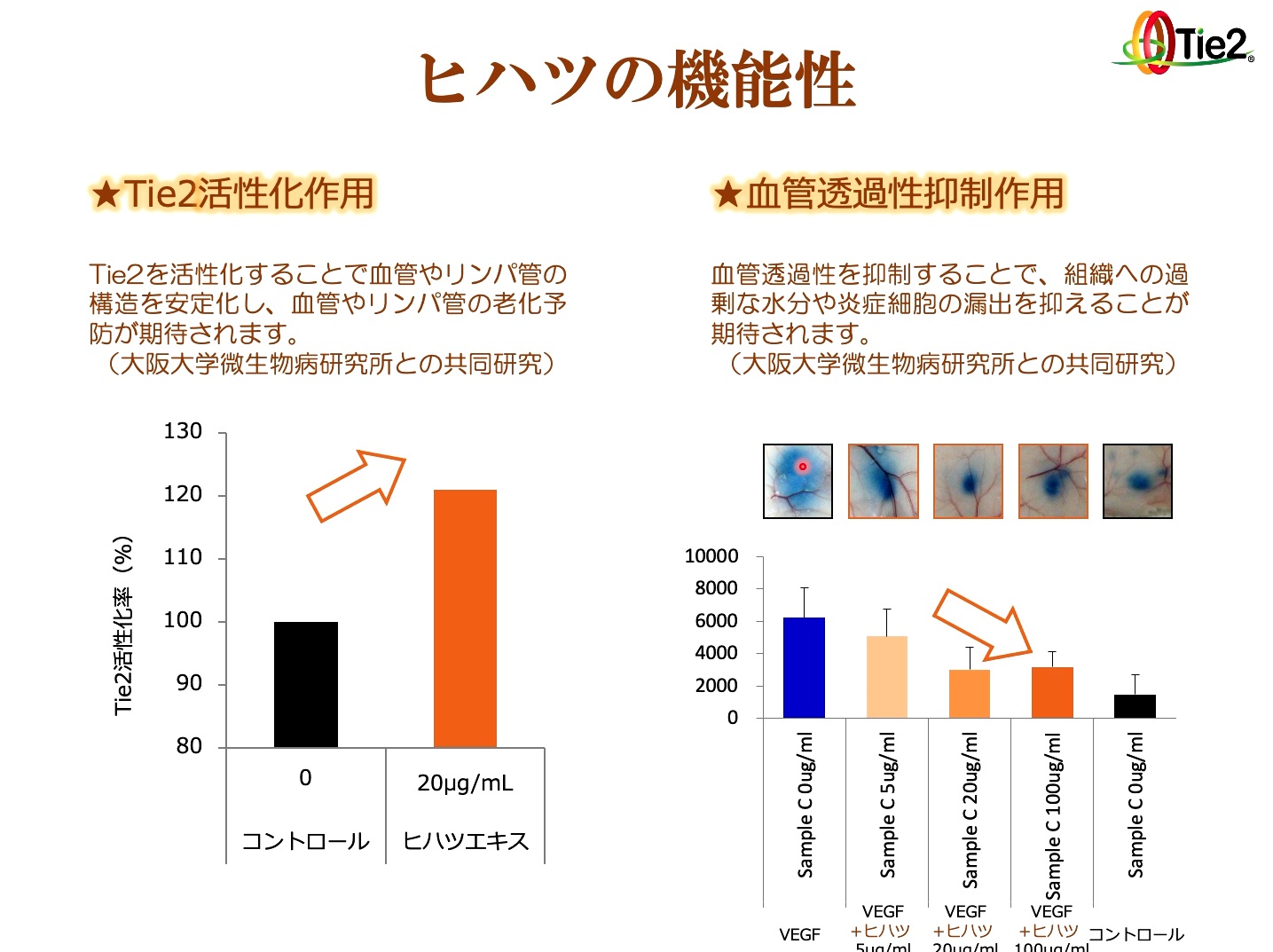 https://jakusan.net/community/images/%E3%83%92%E3%83%8F%E3%83%84%E3%81%AE%E6%A9%9F%E8%83%BD%E6%80%A7.jpg